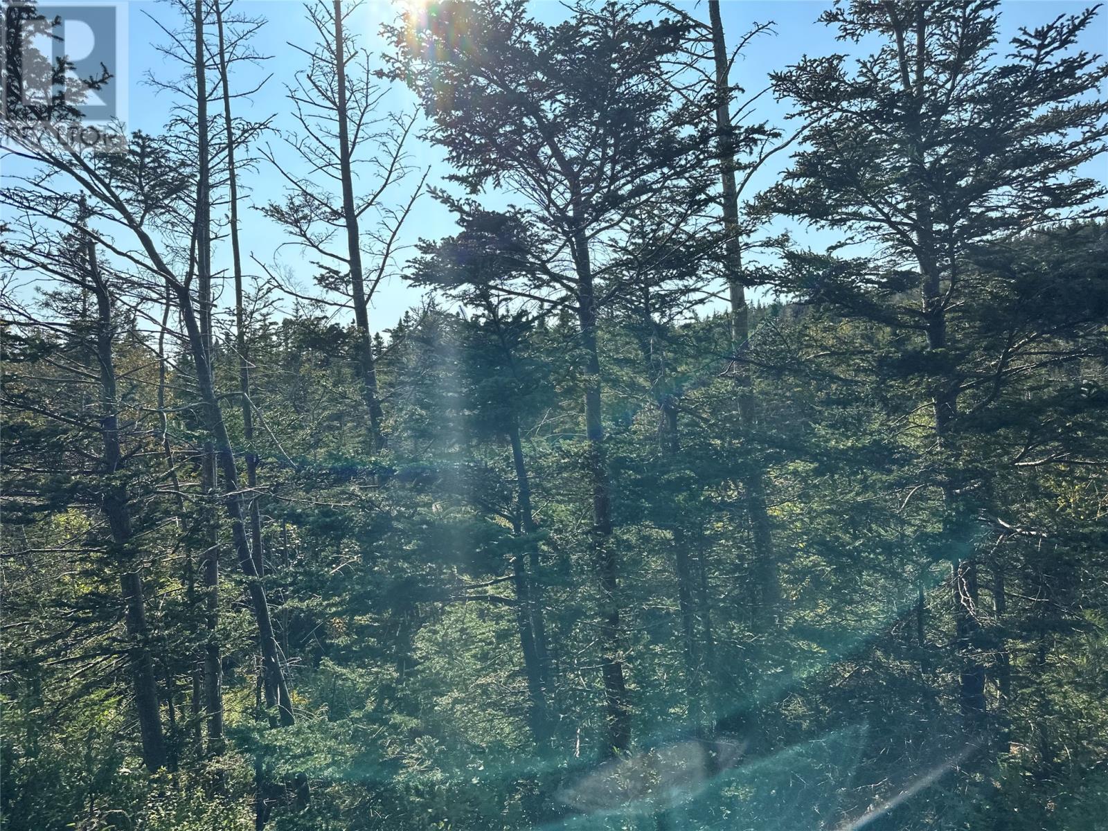 195 Conception Bay Highway