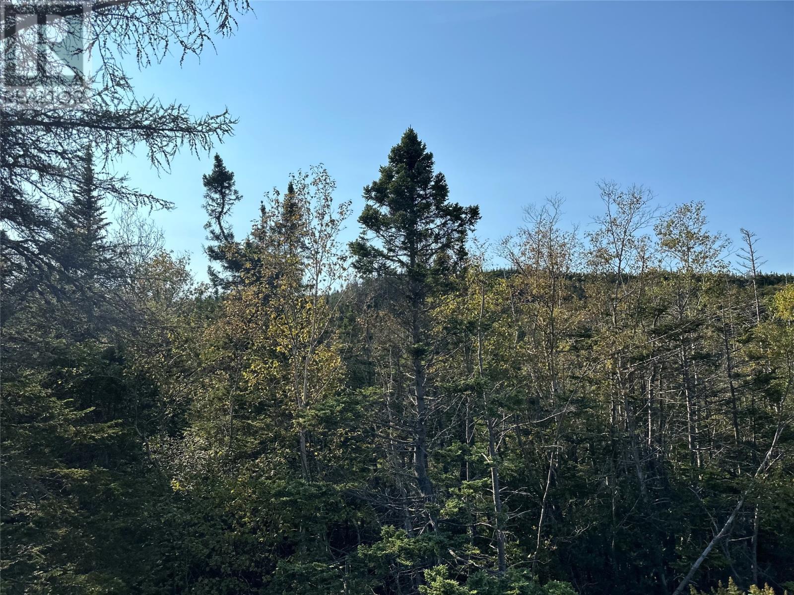 195 Conception Bay Highway
