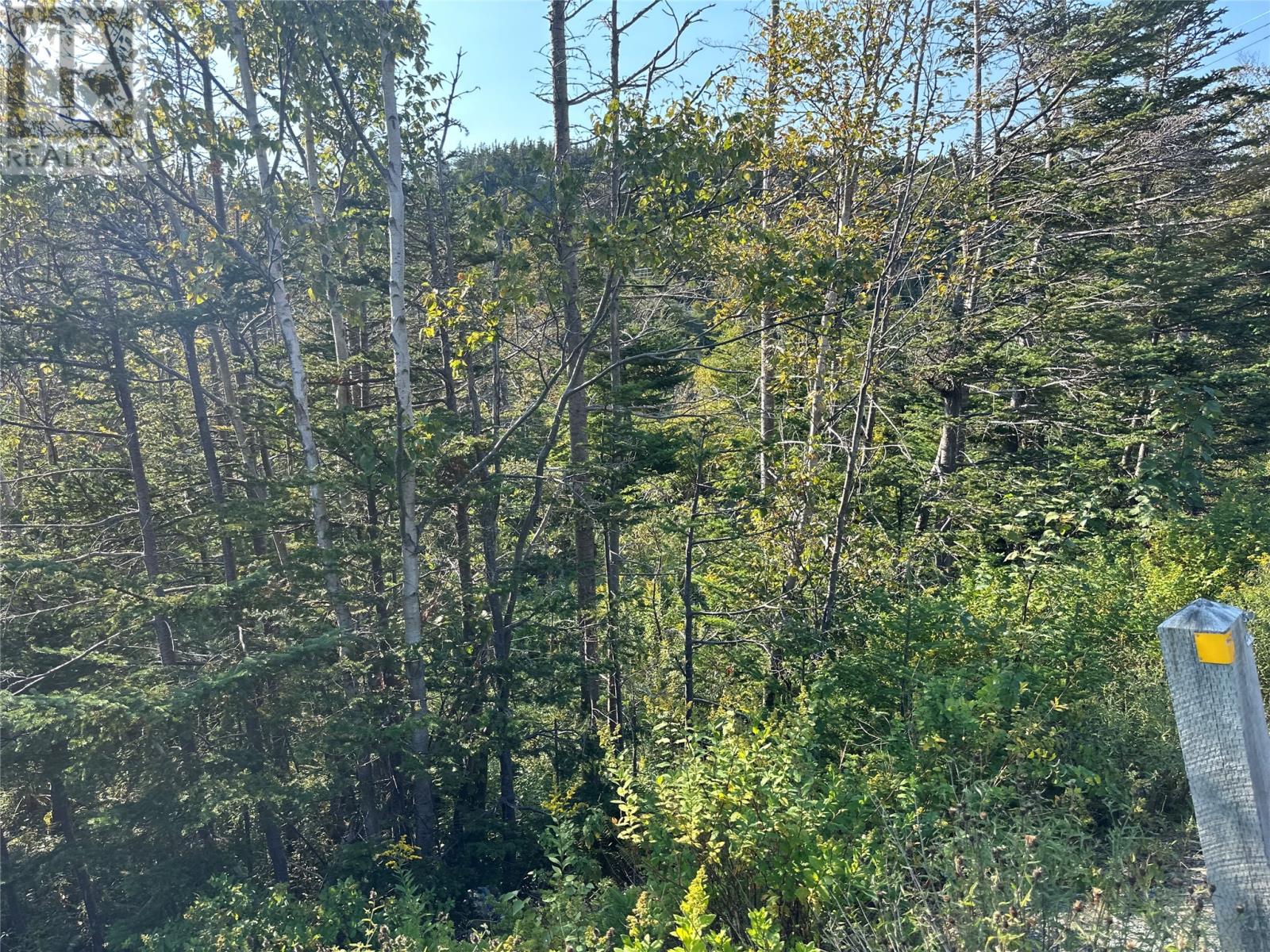 195 Conception Bay Highway