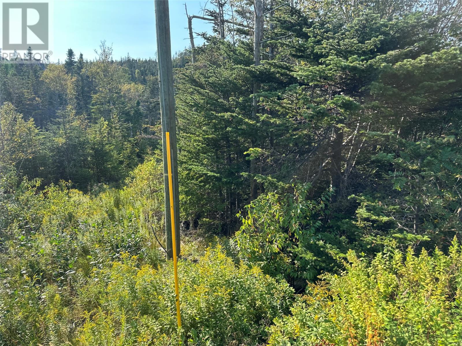 195 Conception Bay Highway