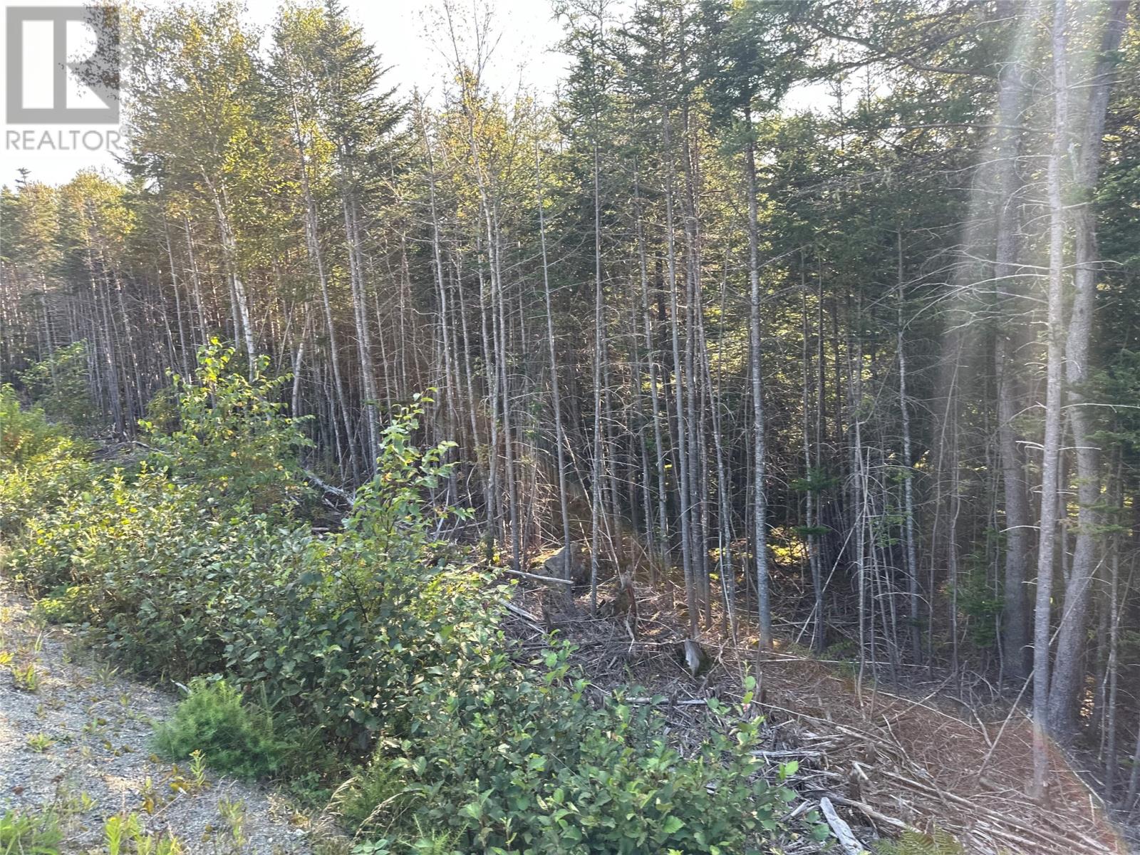 195 Conception Bay Highway