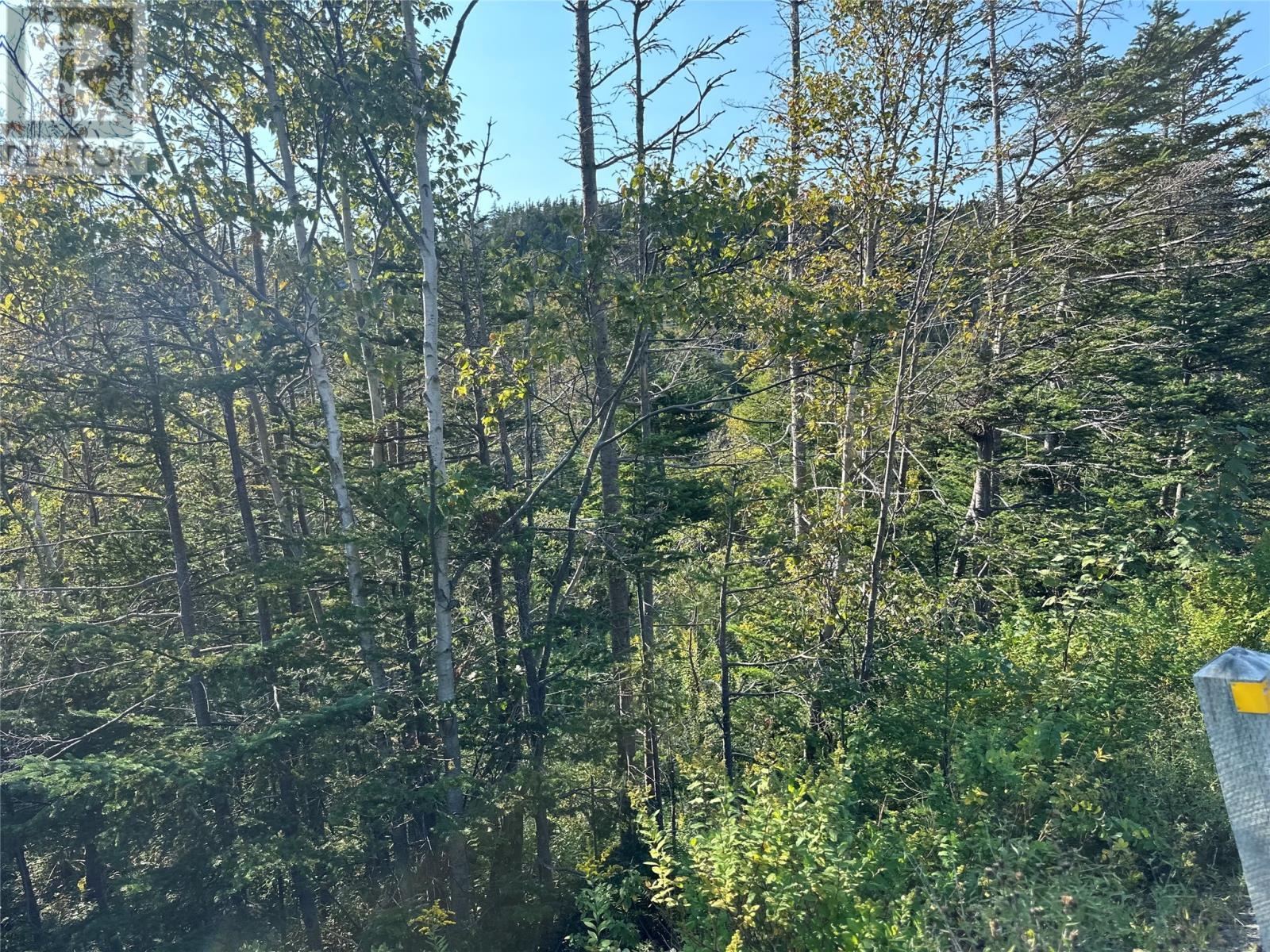 195 Conception Bay Highway