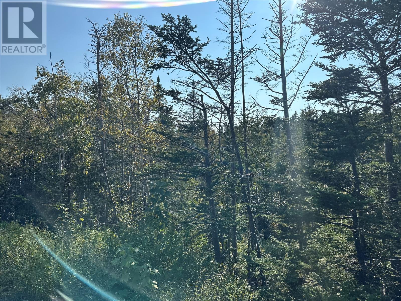 195 Conception Bay Highway
