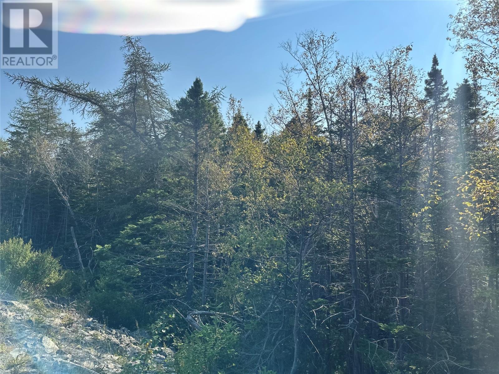 195 Conception Bay Highway