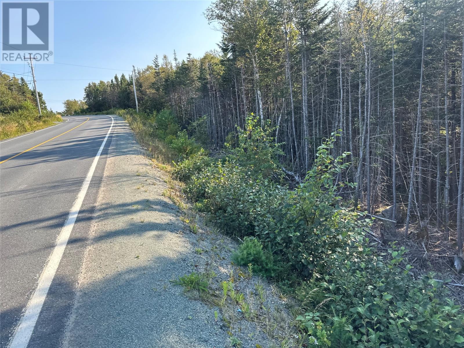 195 Conception Bay Highway