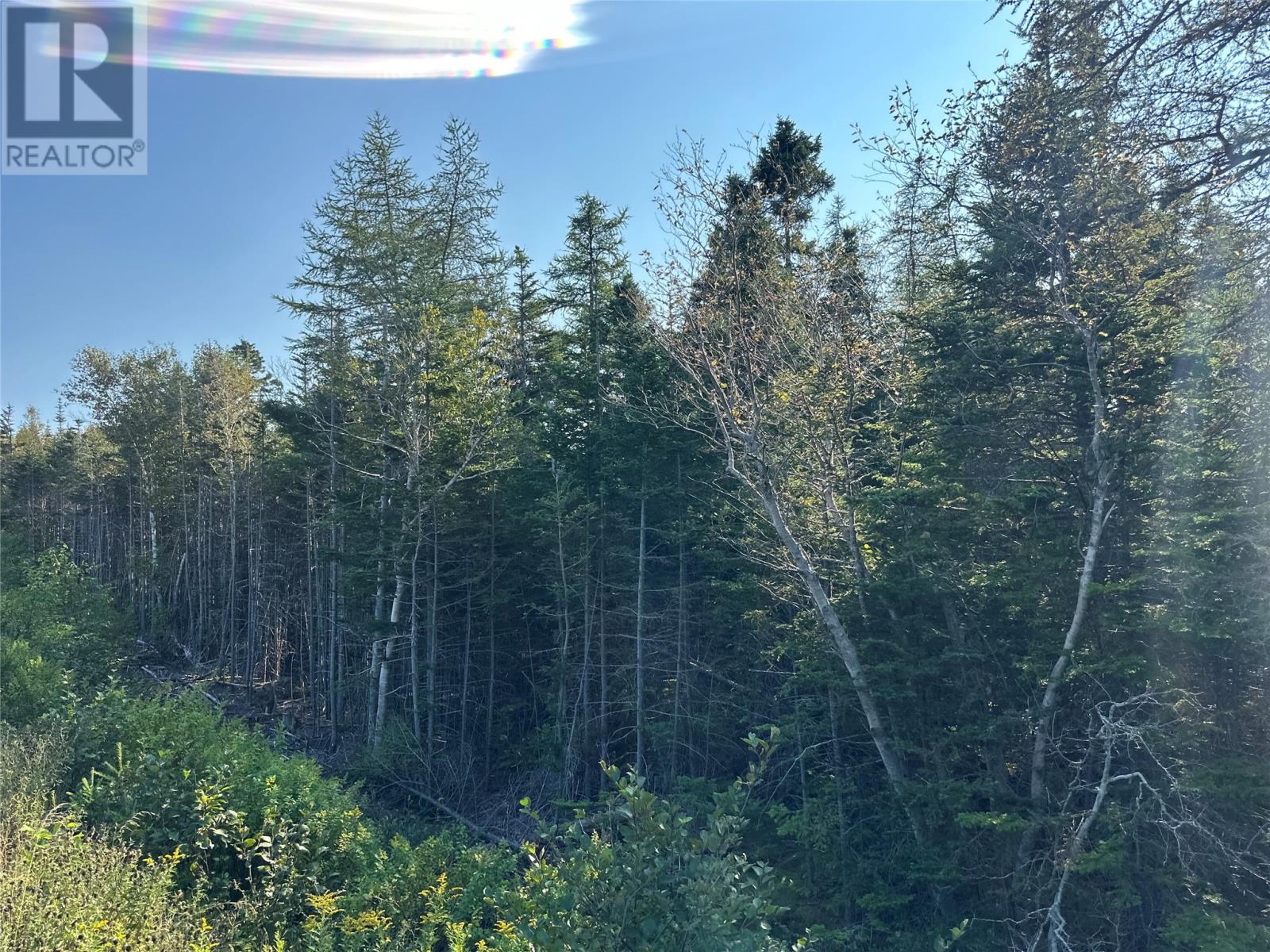 195 Conception Bay Highway