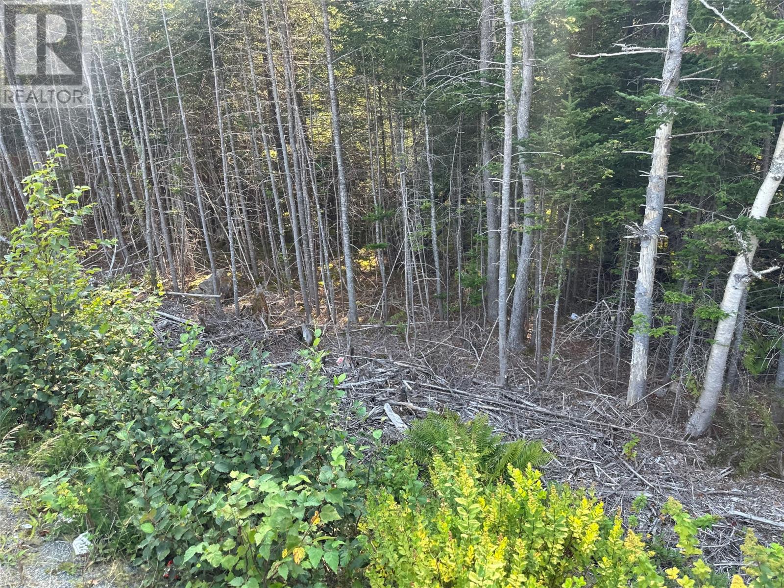 195 Conception Bay Highway