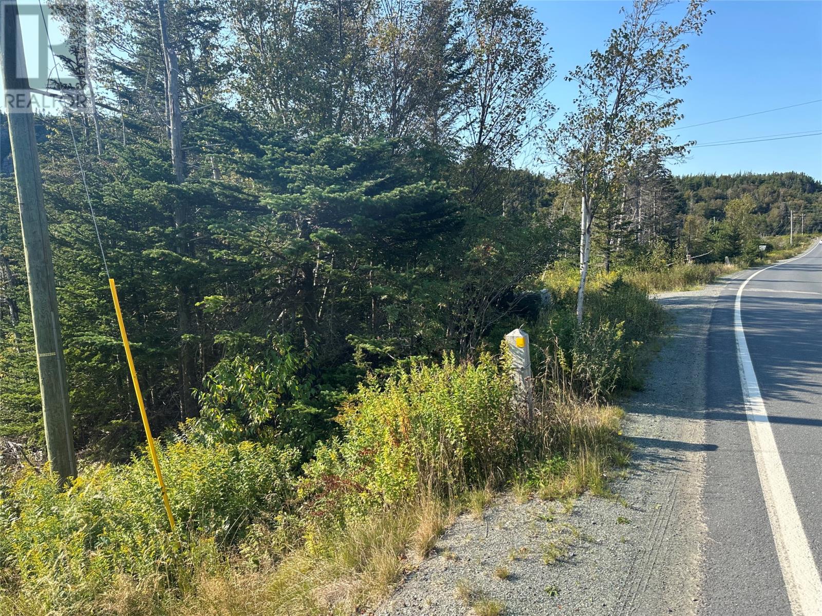 195 Conception Bay Highway