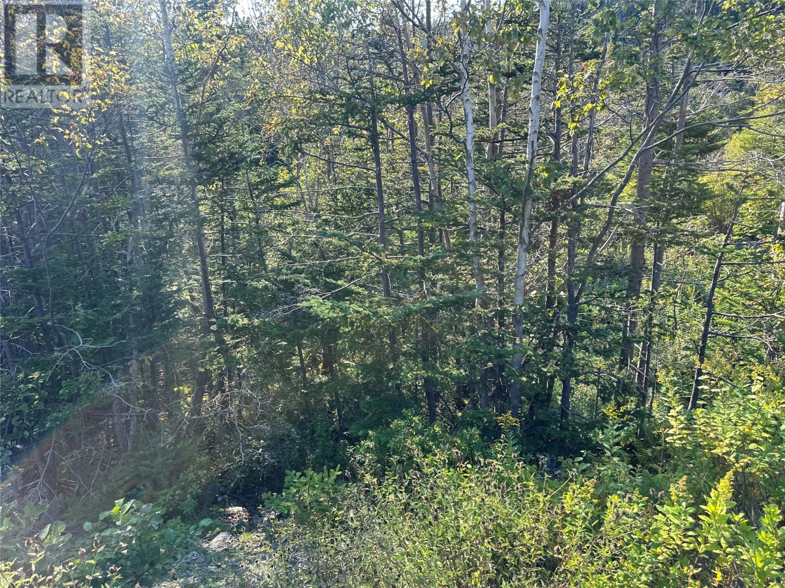 195 Conception Bay Highway