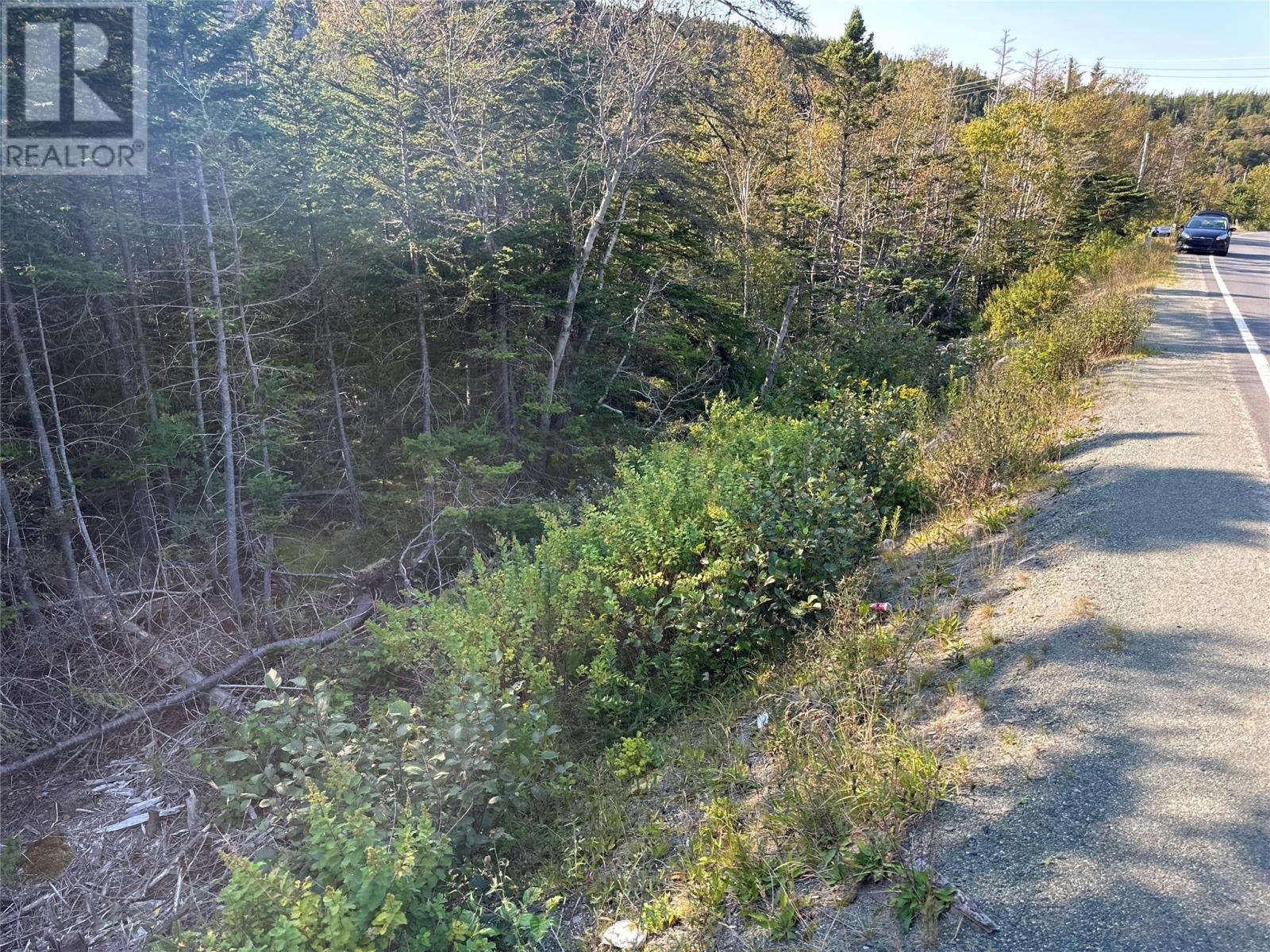 195 Conception Bay Highway