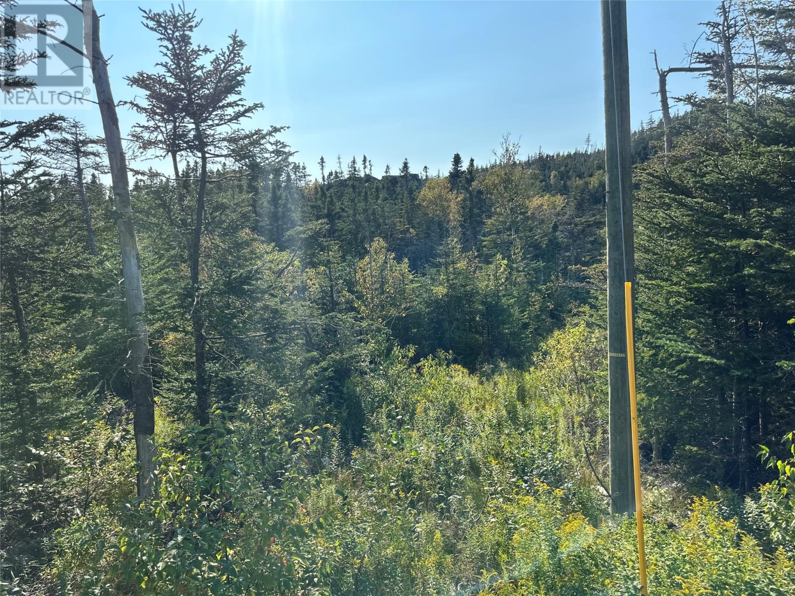 195 Conception Bay Highway