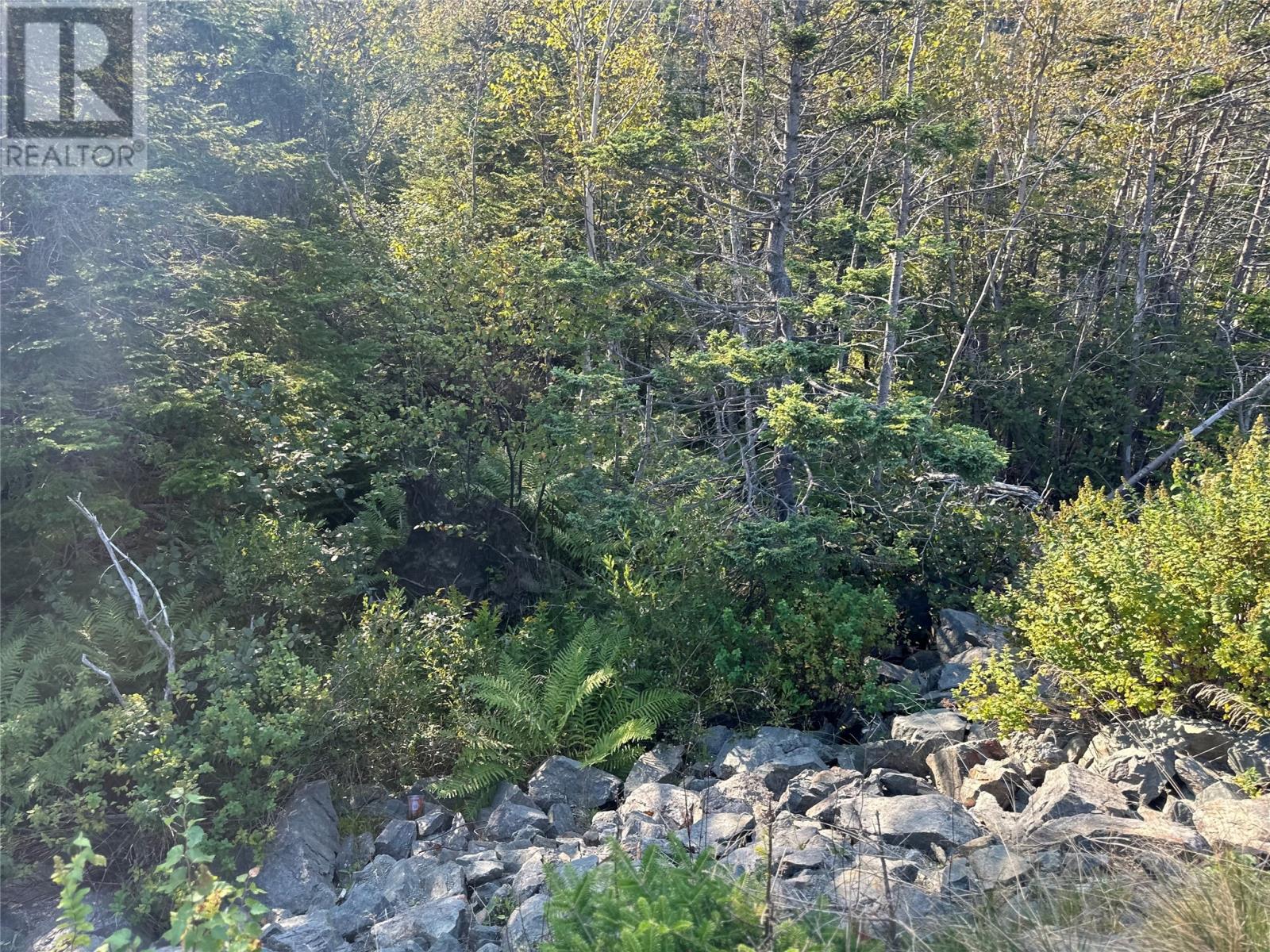 195 Conception Bay Highway