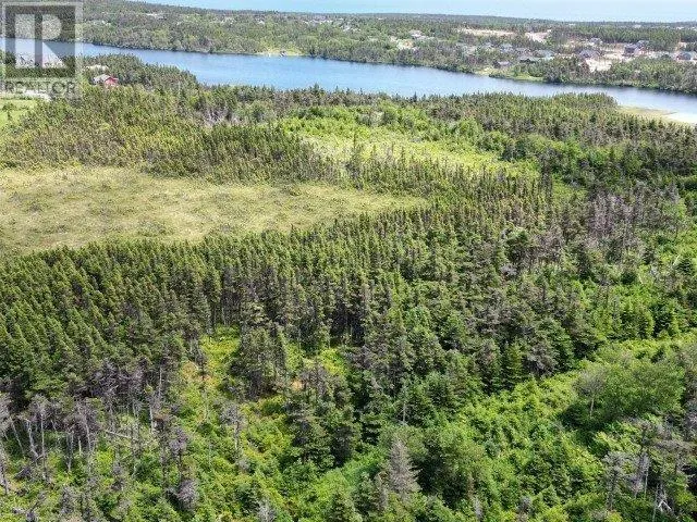 1 Peytons Pond