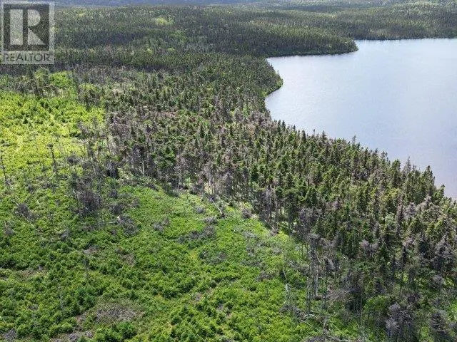 1 Peytons Pond