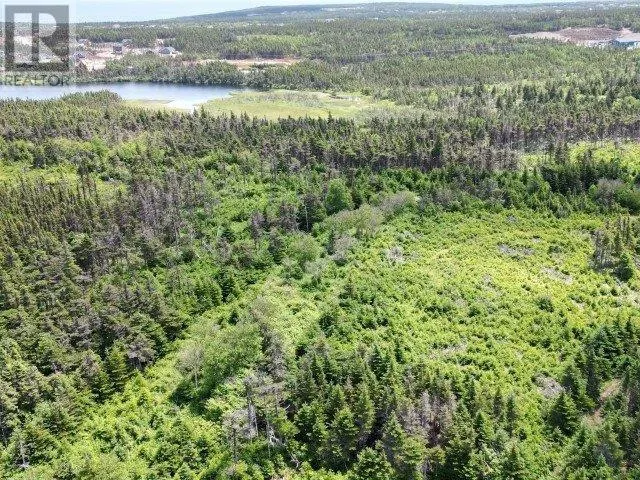 1 Peytons Pond