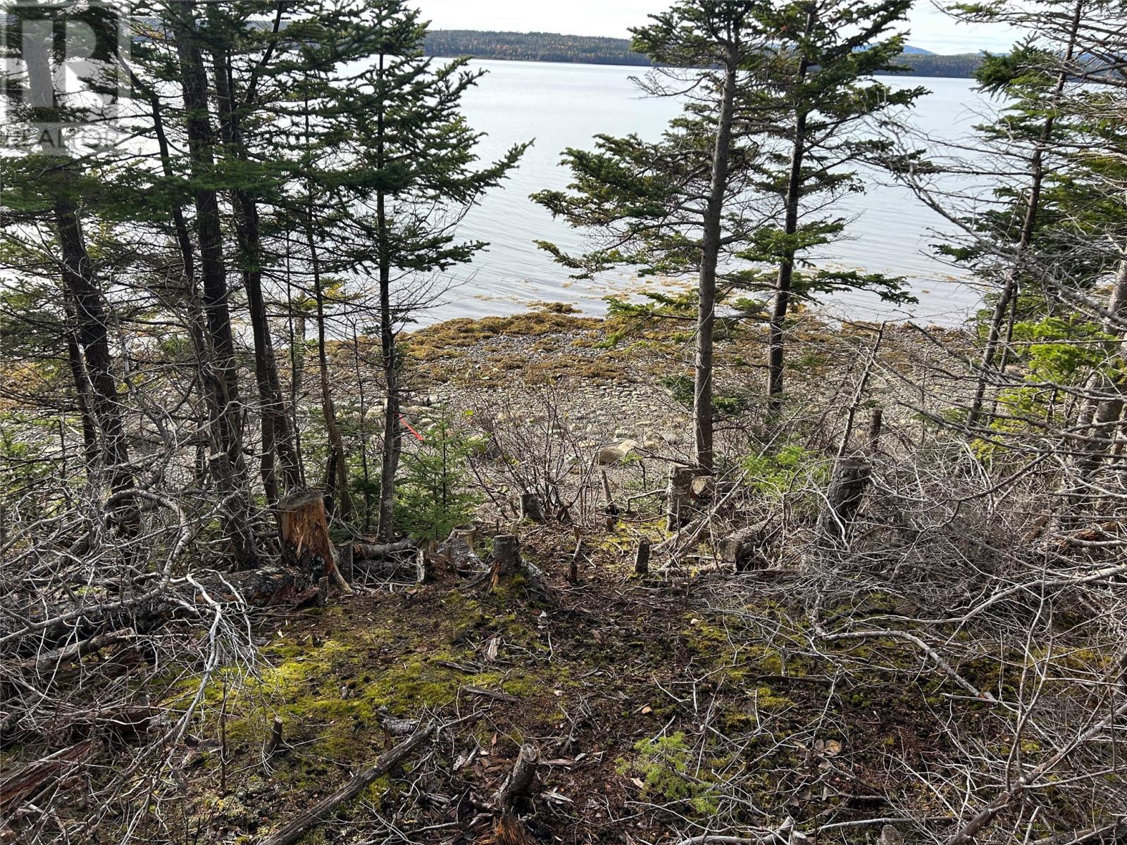 Lot #2, Route 232 Smith Sound Road