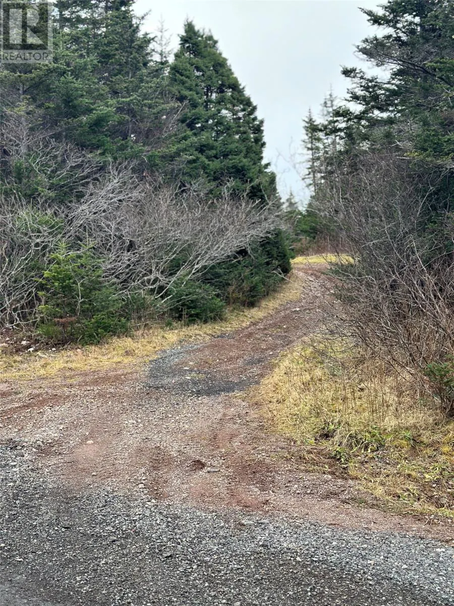 79 Markland Road
