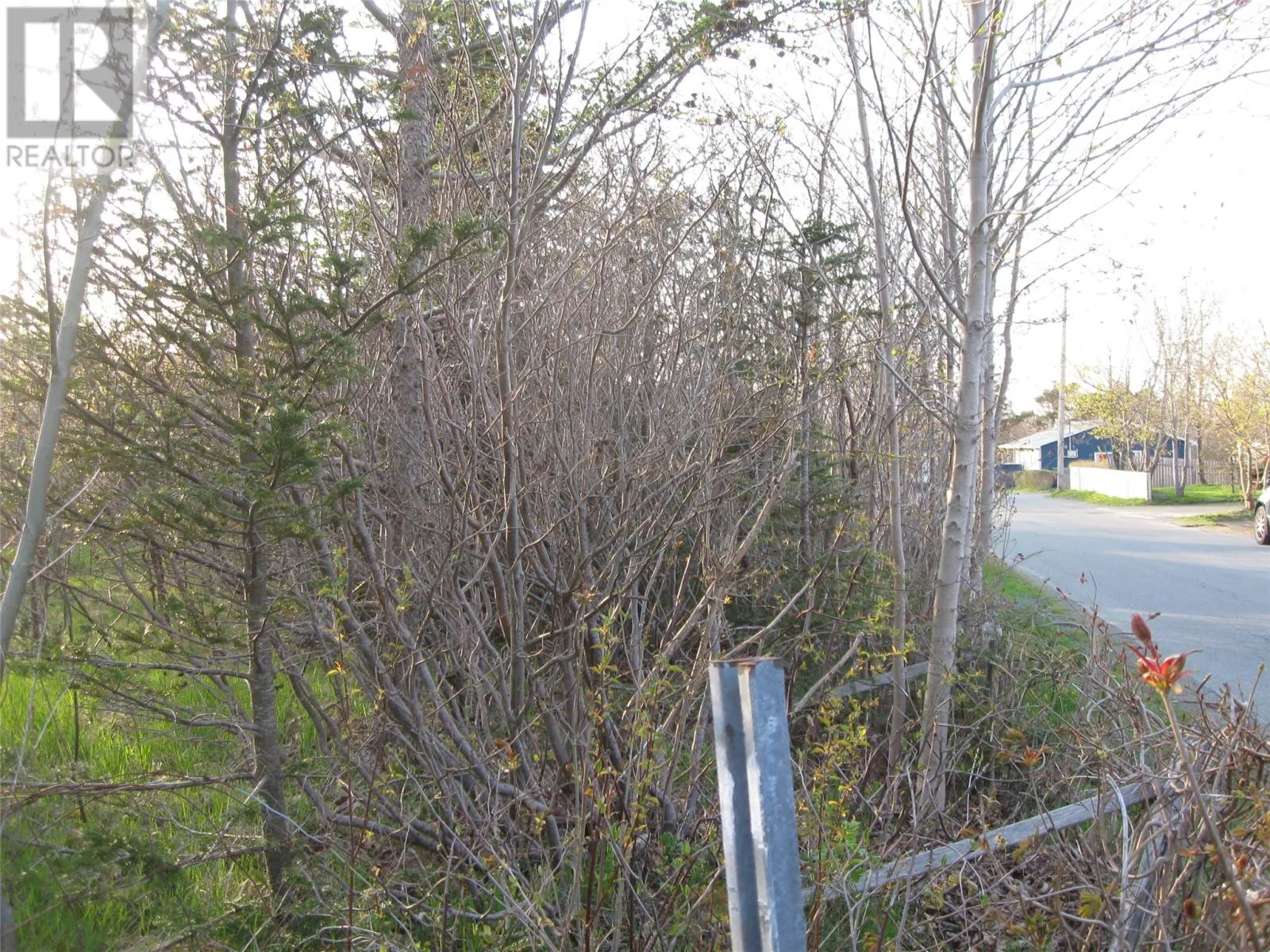 12 - 14 FOREST Road