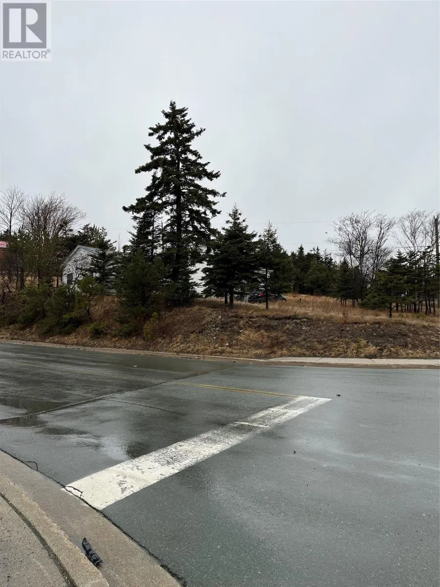 1566 Topsail Road