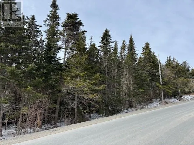 0 Saddle Hill