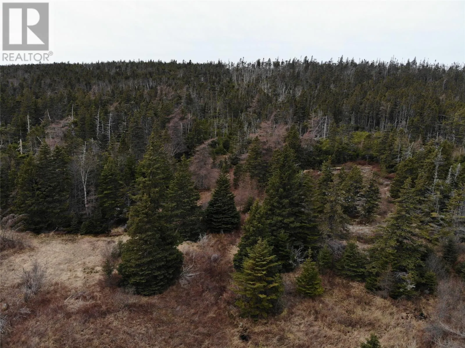 76 - 84 Conception Bay Highway