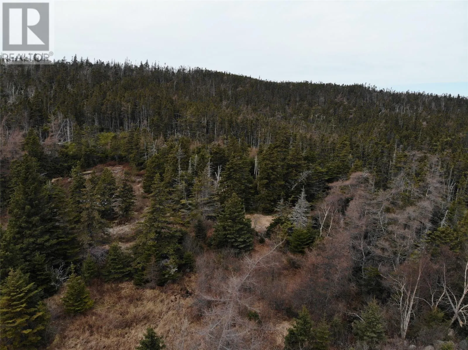 76 - 84 Conception Bay Highway