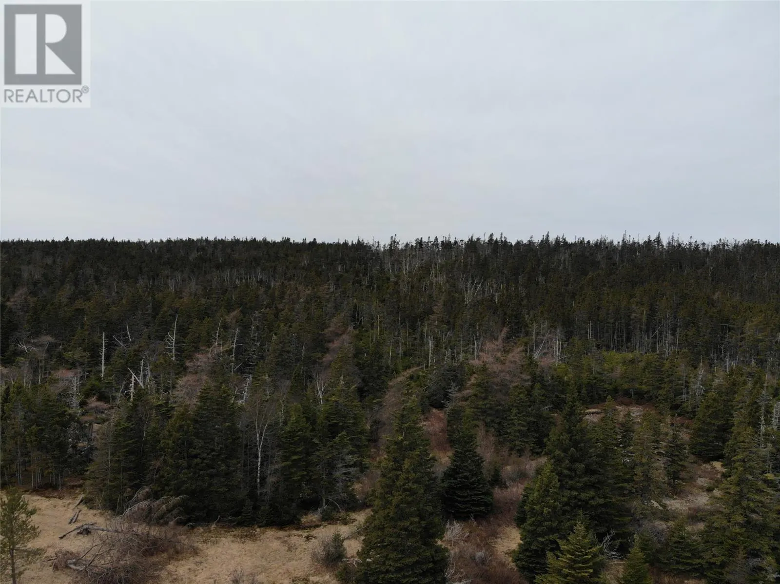 76 - 84 Conception Bay Highway