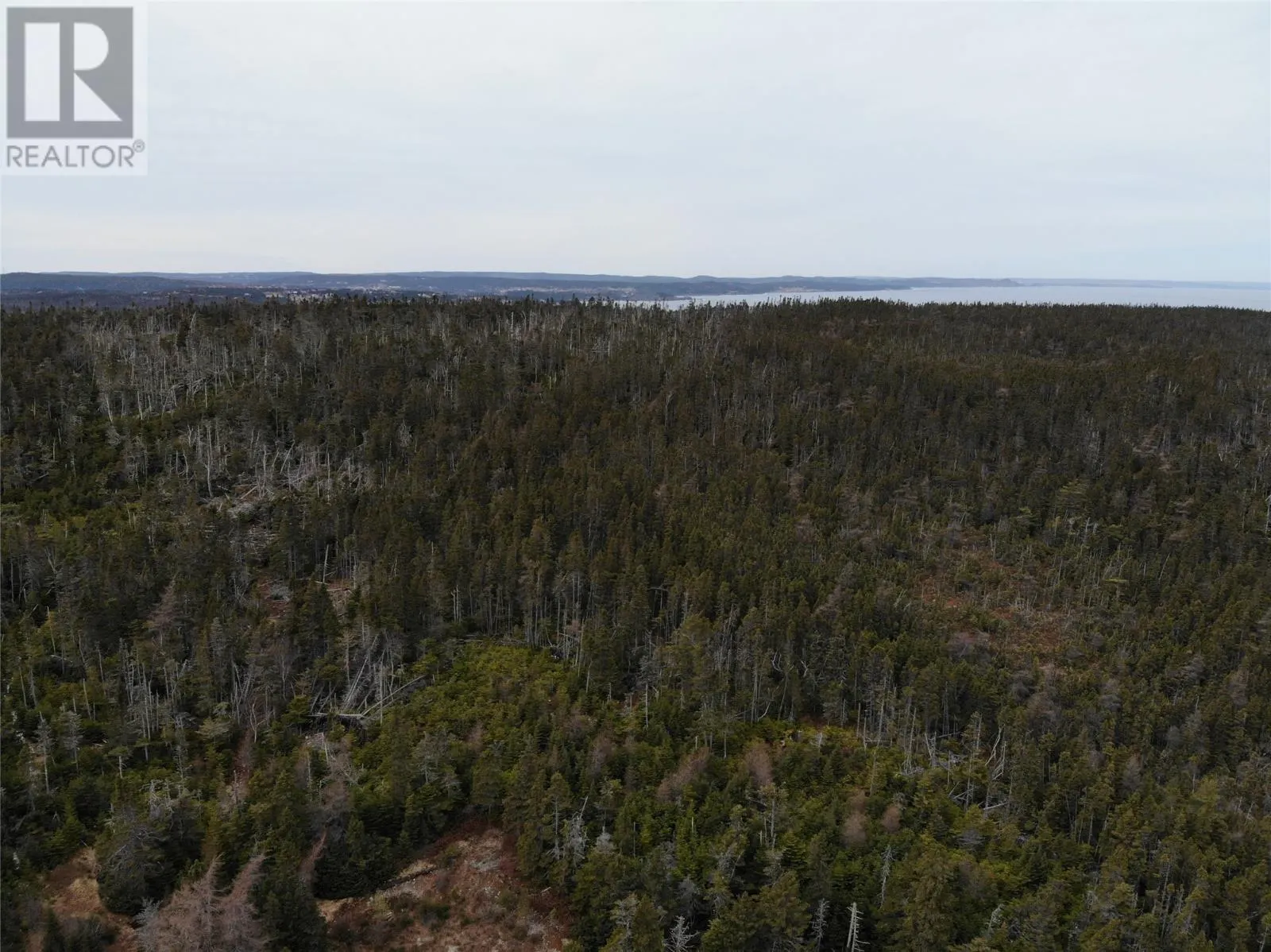 76 - 84 Conception Bay Highway