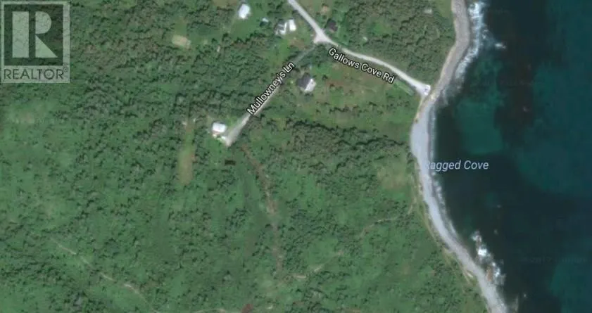 25-37 Mullowney's , Gallows cove Road