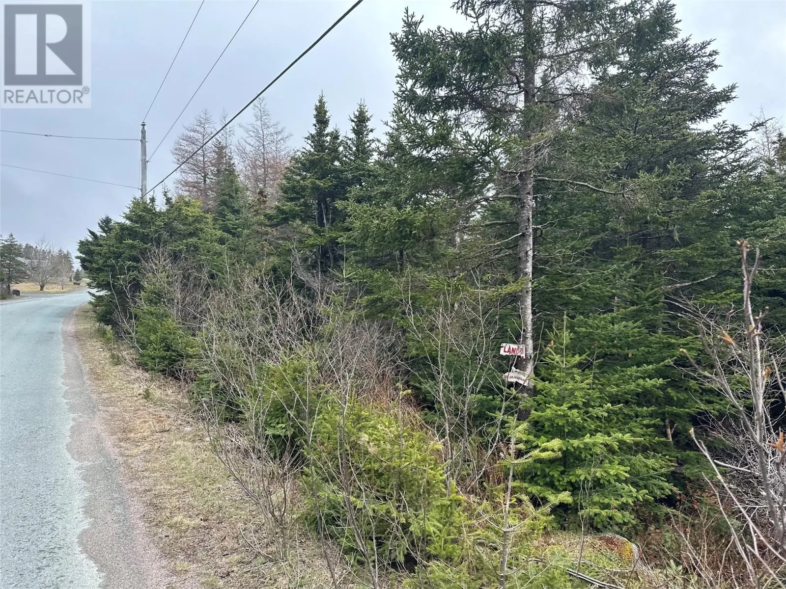 54 Ridge Road