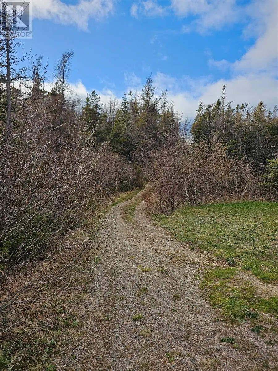 1121 Trans Canada Highway