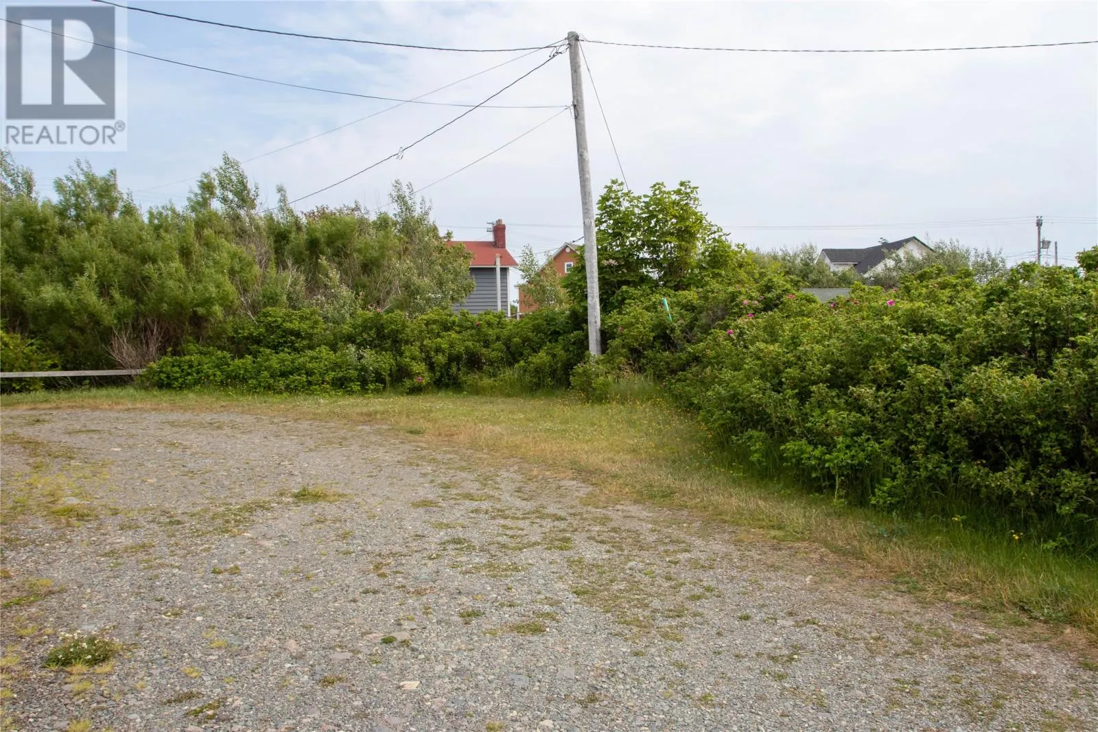 10 Carpenter's Lane