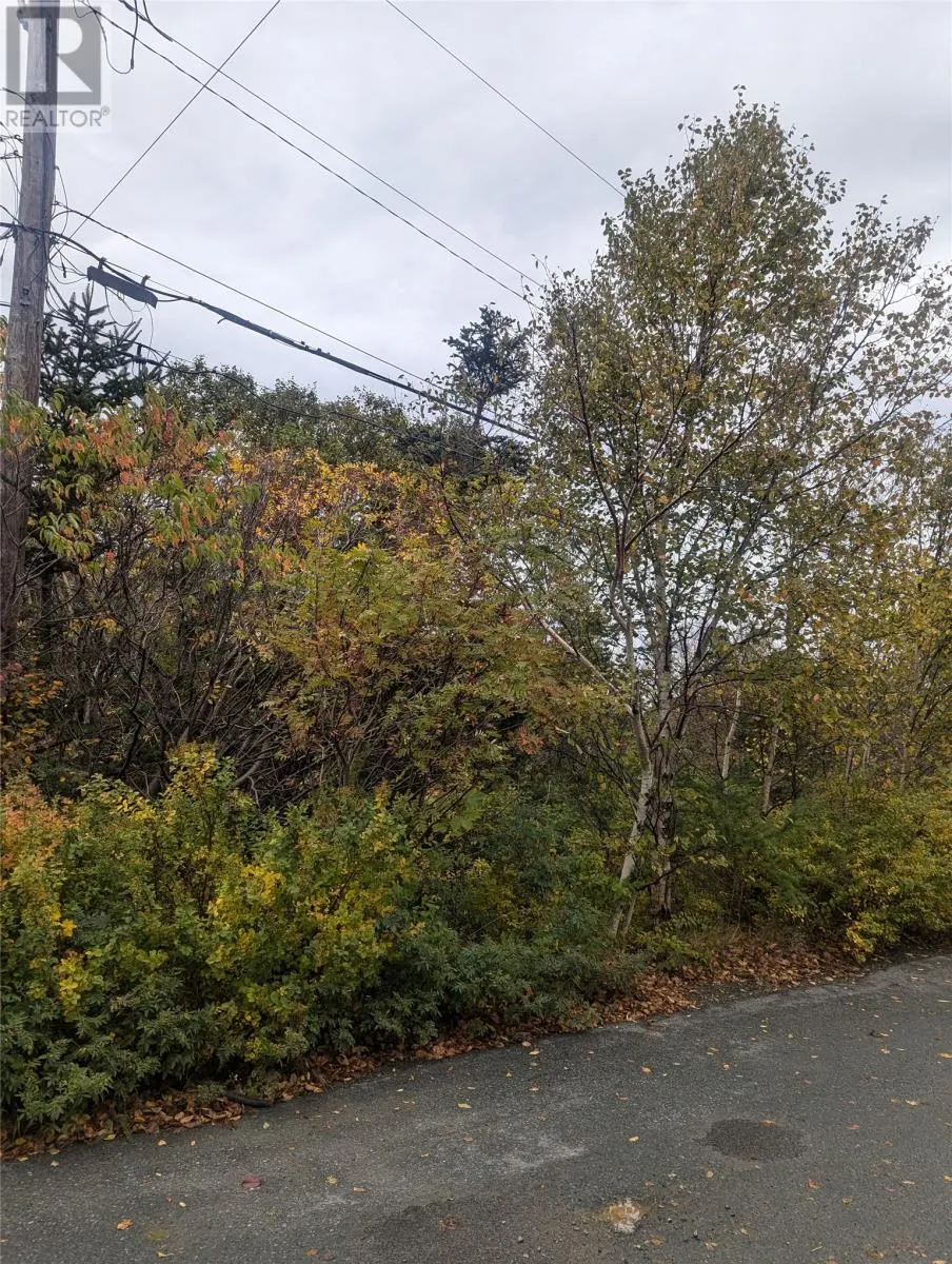 6-10 Parsons Place