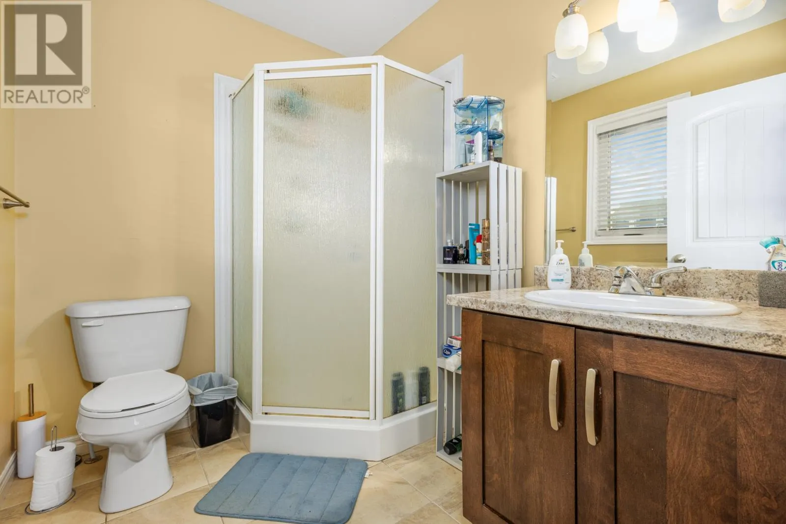 117 Ladysmith Drive