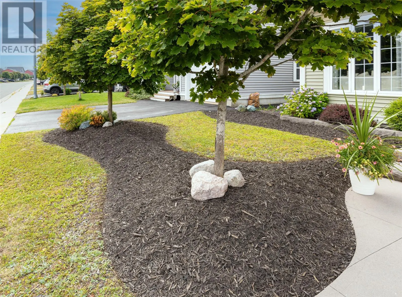 80 Blue Puttee Drive