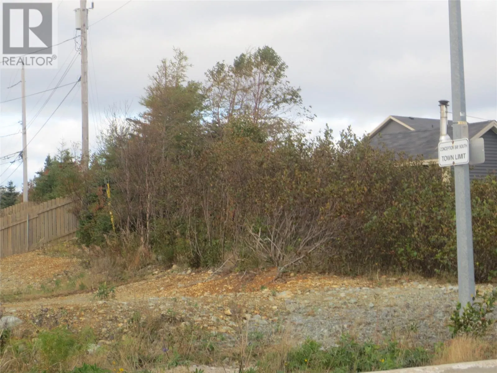 36 Haliburton Street