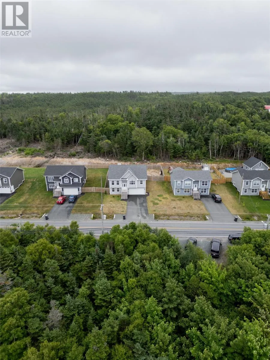 1319 Conception Bay Highway