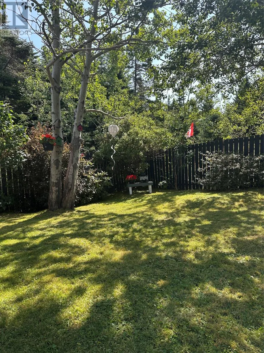 25 Forest Road