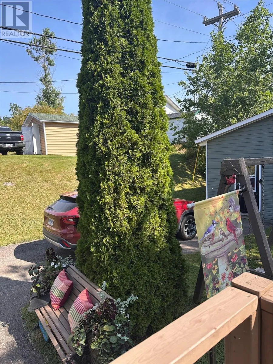 25 Forest Road