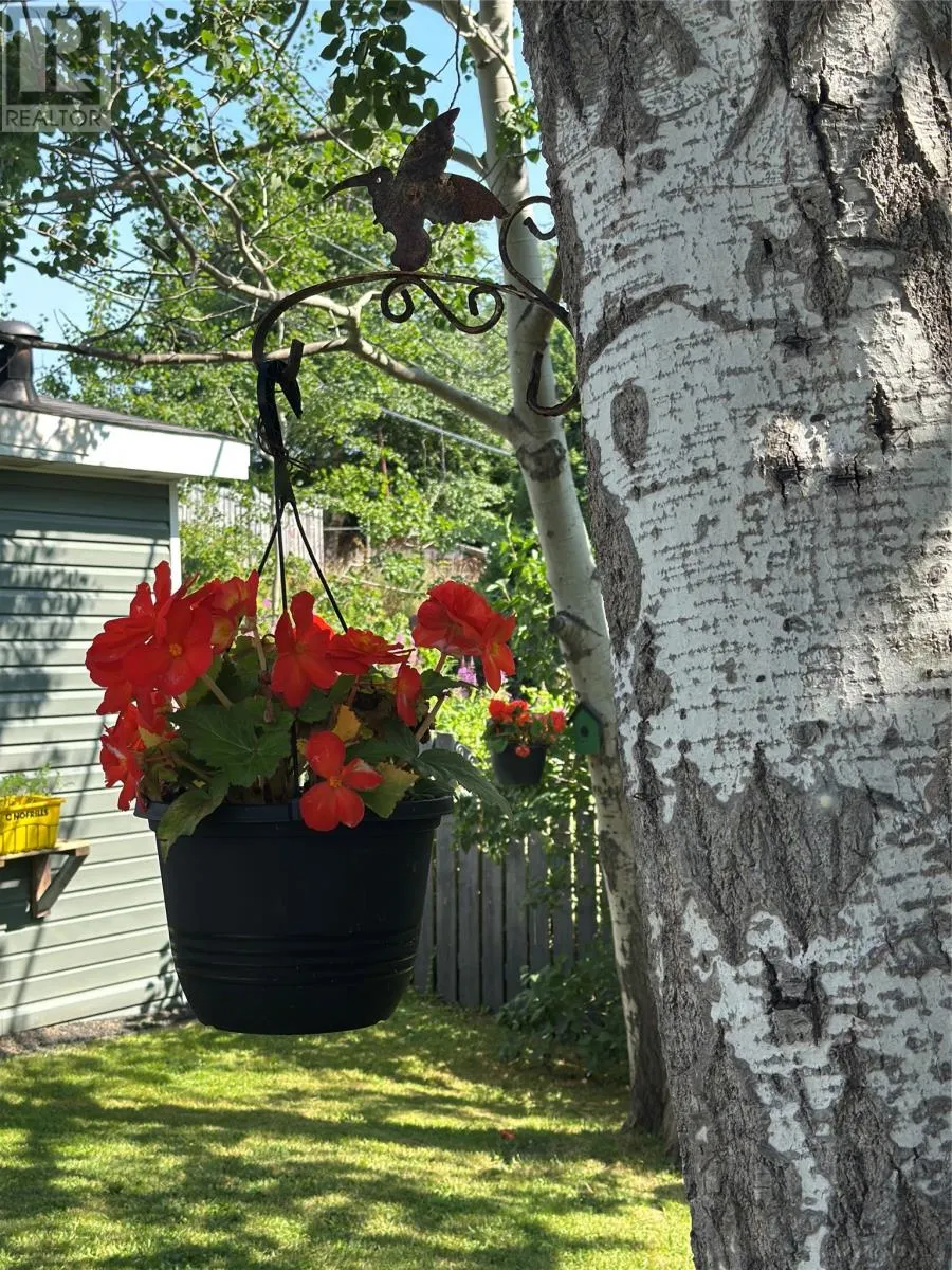 25 Forest Road