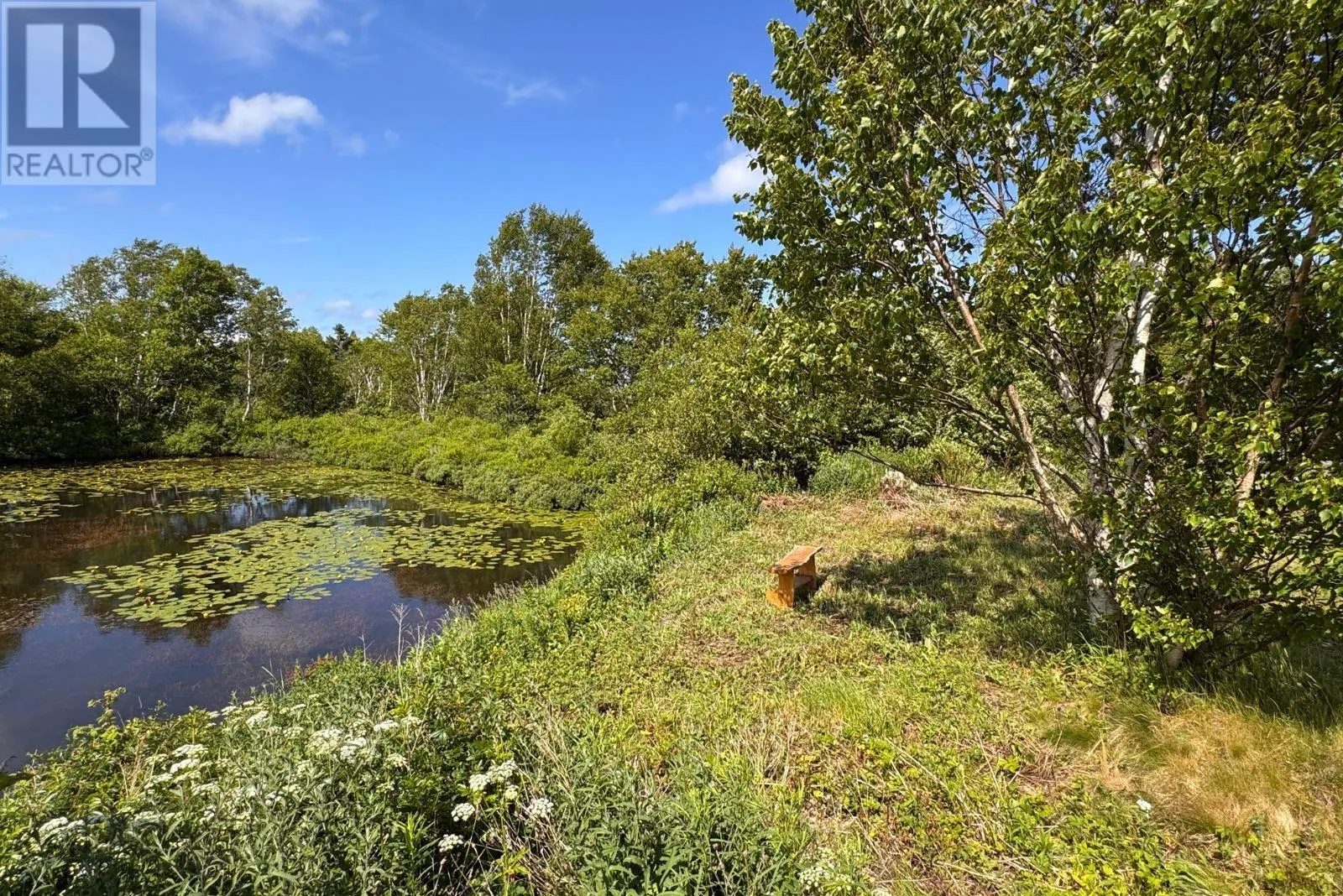 442 Conception Bay Highway