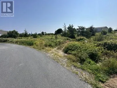 12-32 Blueberry Road