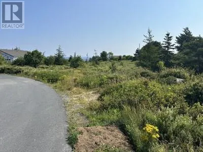 12-32 Blueberry Road