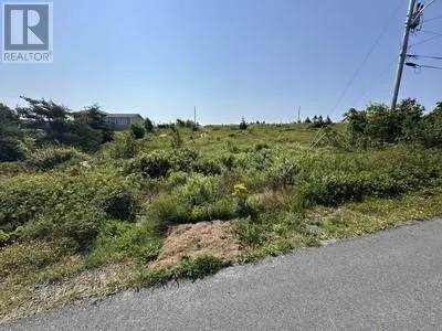 12-32 Blueberry Road
