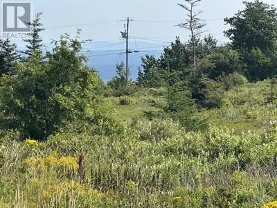 12-32 Blueberry Road