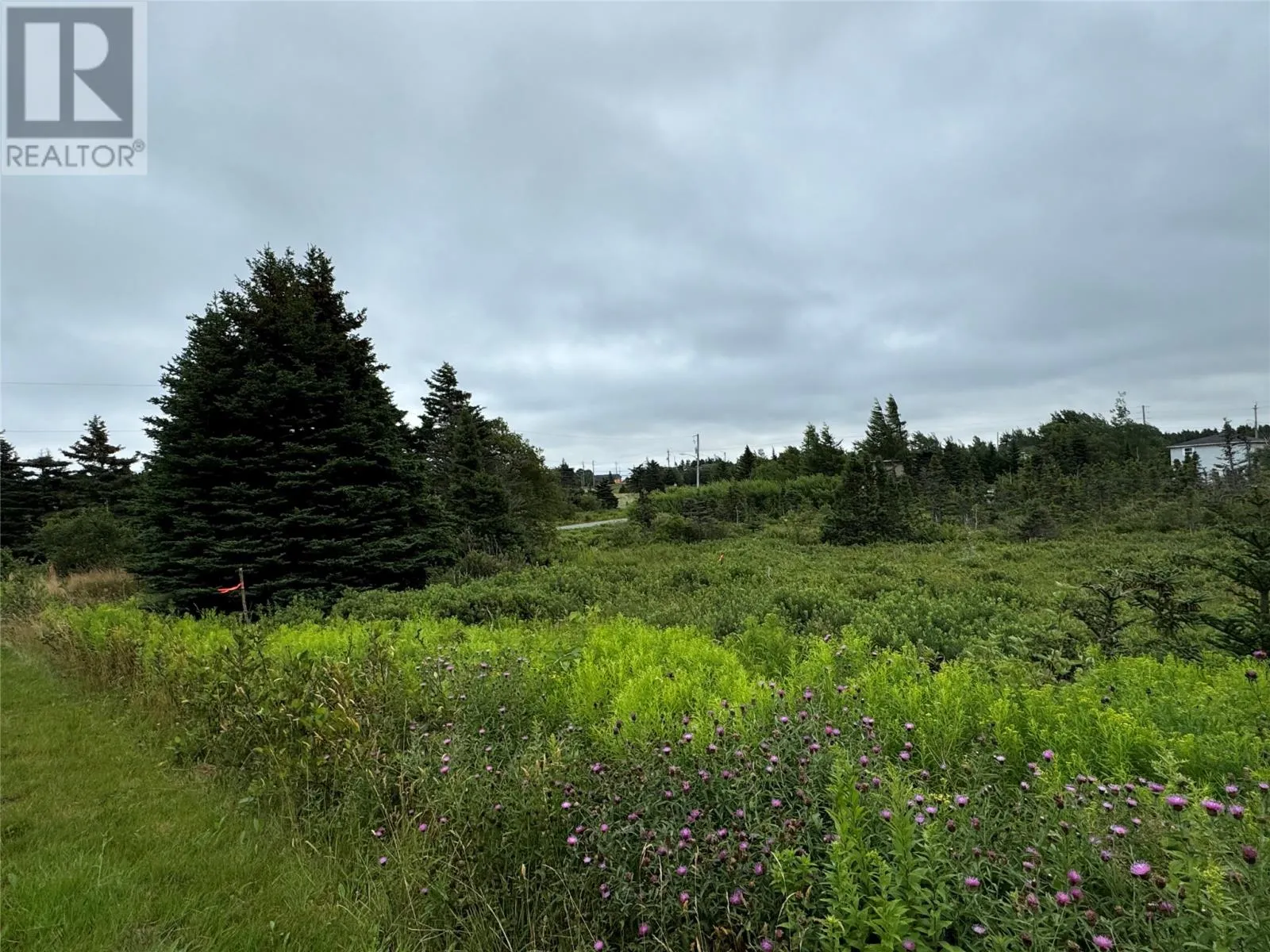 17 Crowes Lane