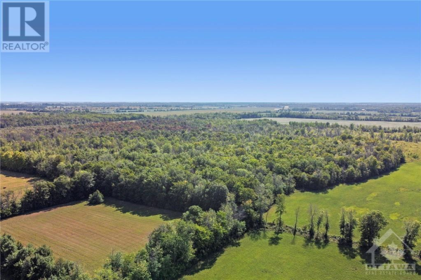 10080 MCINTYRE ROAD, Mountain