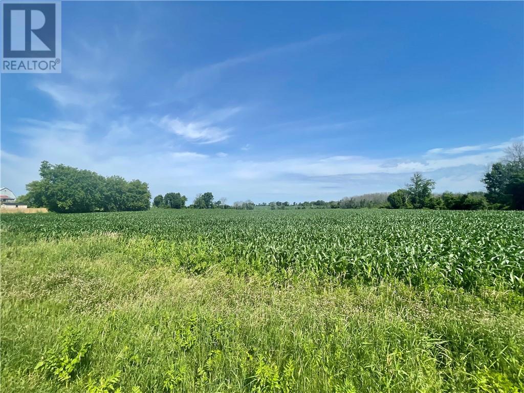 Listing 1302342 - Large Photo # 5