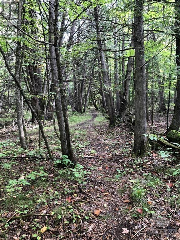 Listing 1315434 - Large Photo # 18
