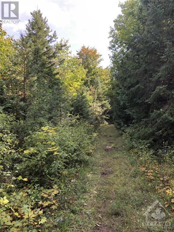 Listing 1315434 - Large Photo # 17